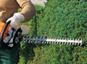 Doppia%20lama%20STIHL.jpg