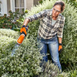SET Rifinitore STIHL HSA26 - immagine 8