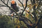 SET Potatore professionale a batteria STIHL GTA40 - immagine 6