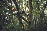 Motosega a batteria STIHL MSA190 T - immagine 7