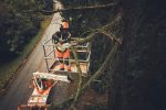 Motosega a batteria STIHL MSA190 T - immagine 8