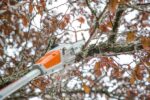 SET Potatore a batteria STIHL HTA50 - immagine 4