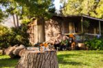 Motosega GIOCATTOLO STIHL - immagine 12