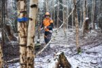Potatore telescopico STIHL HTA150 - immagine 4